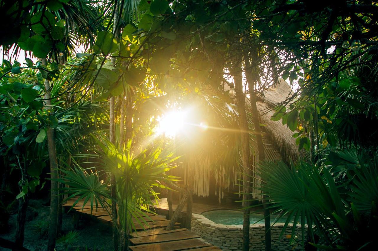 Ikal Tulum Hotel Exterior photo Jungle at Xel-Há