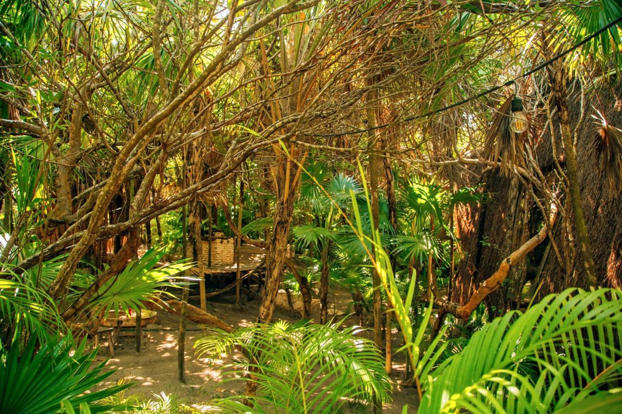 Ikal Tulum Hotel Exterior photo Jungle